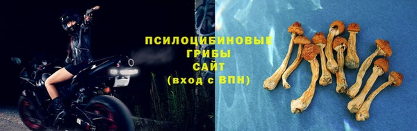 гидра Надым