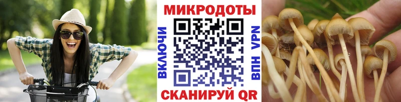 закладки  Урюпинск  Псилоцибиновые грибы Magic Shrooms 